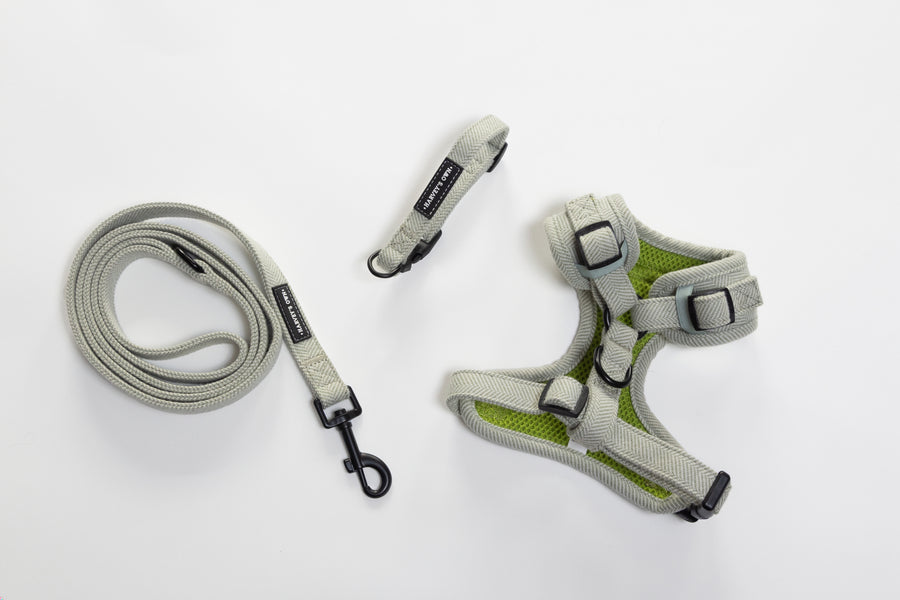 Alban Collection Light Green Bundle