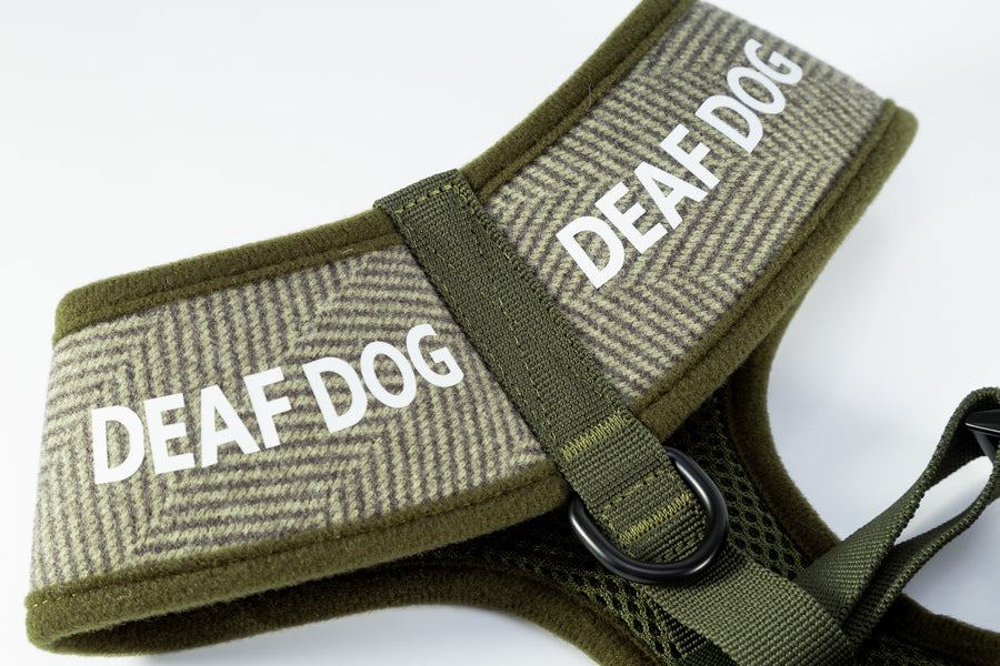 Holywell Collection Green Deaf Dog Harness