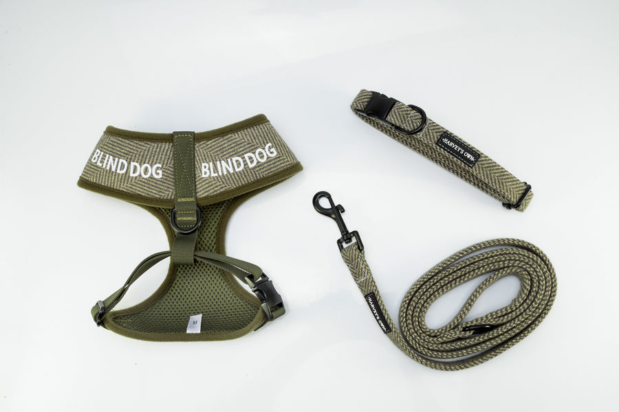 Holywell Collection Green Blind Dog Bundle