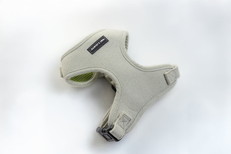 Alban Collection Light Green Harness