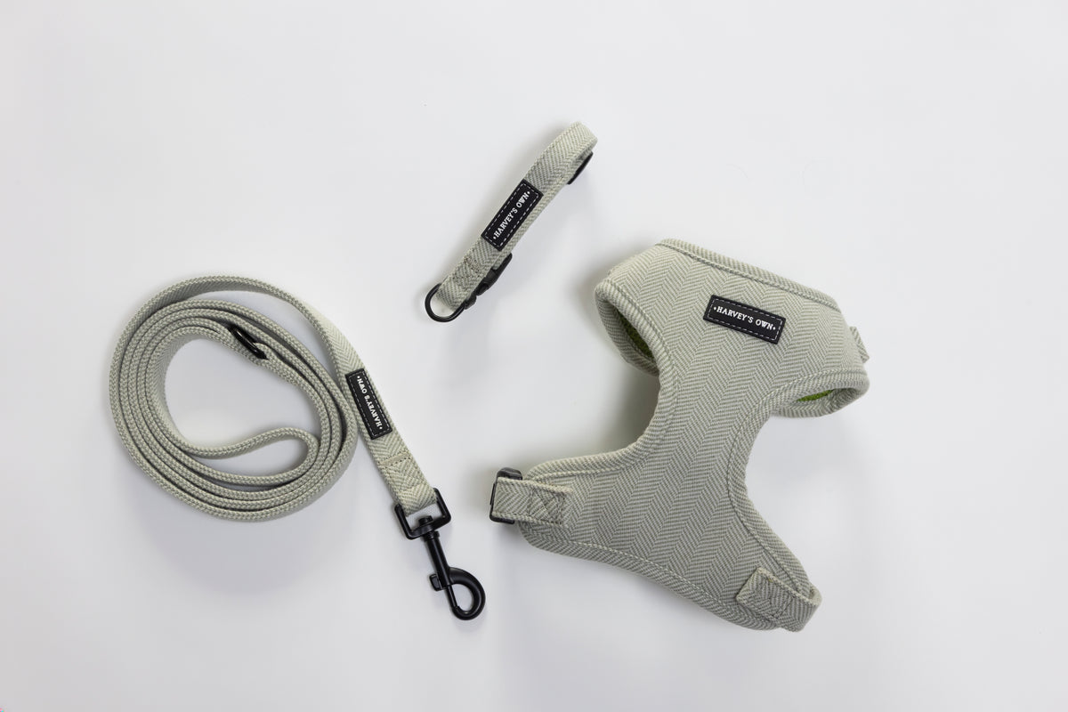Alban Collection Light Green Bundle