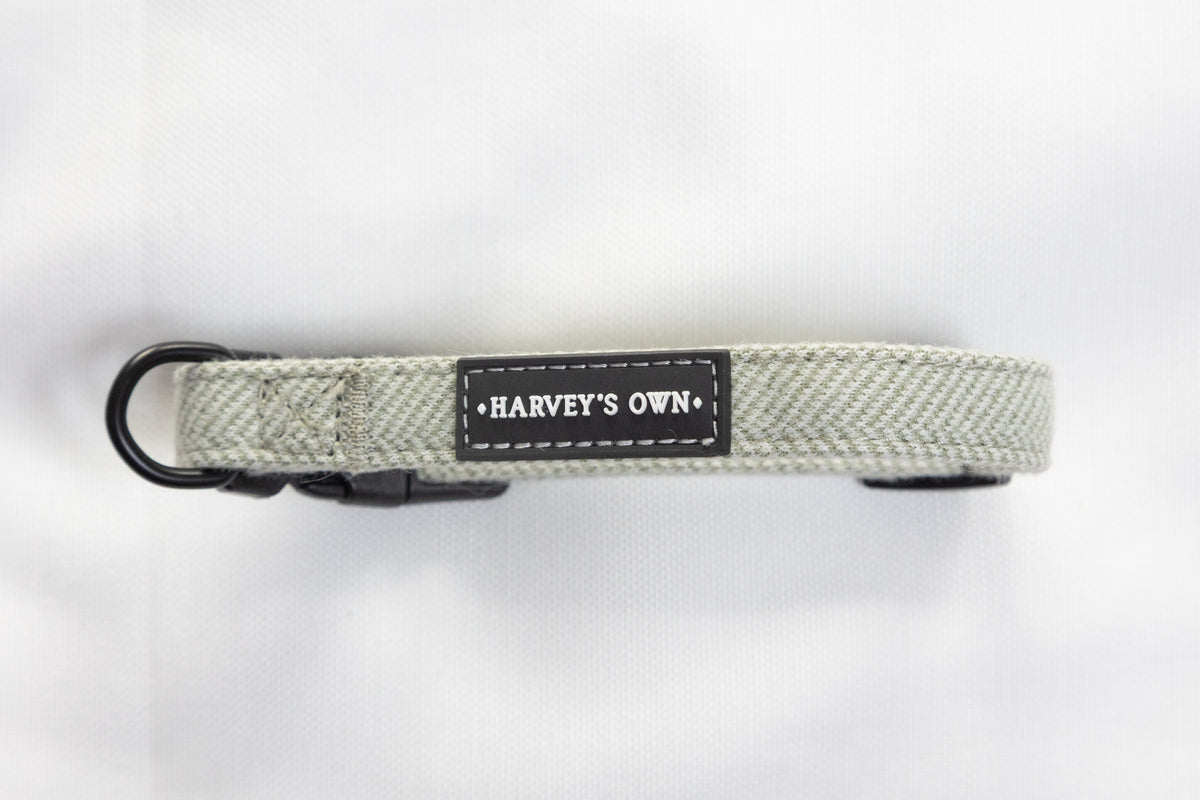 Alban Collection Light Green Collar