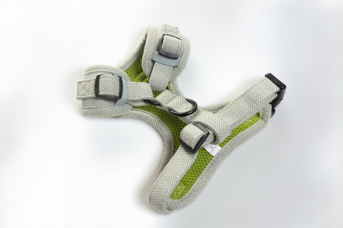 Alban Collection Light Green Harness