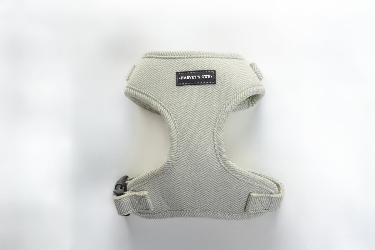 Alban Collection Light Green Harness
