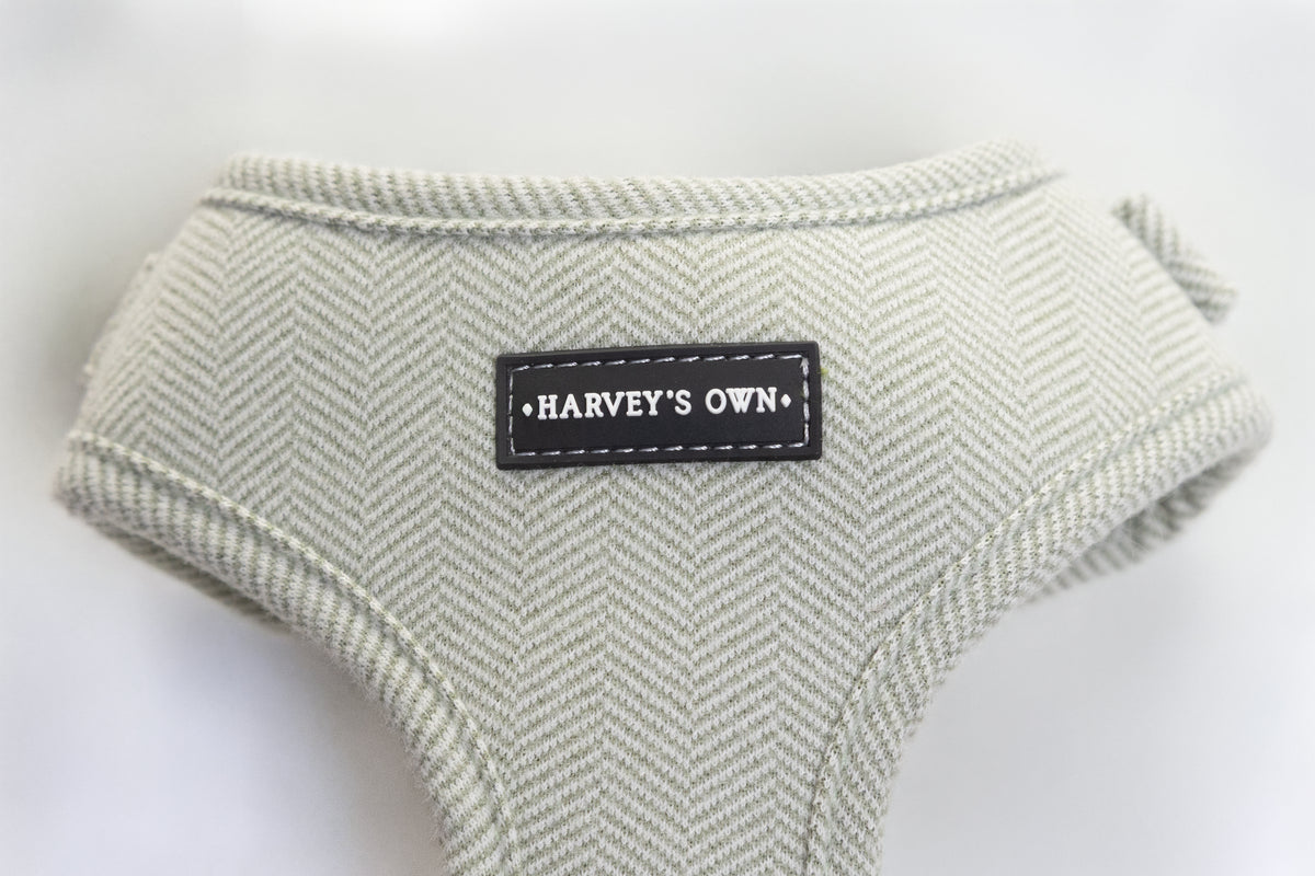 Alban Collection Light Green Harness
