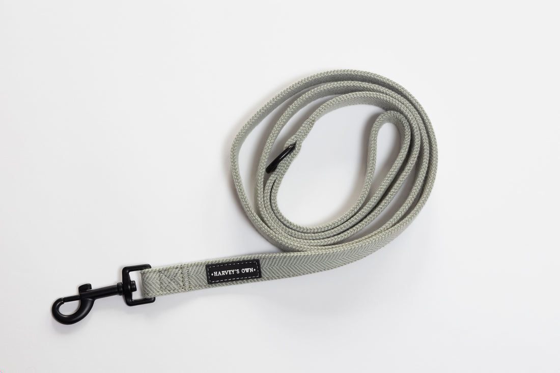 Alban Collection Light Green Lead