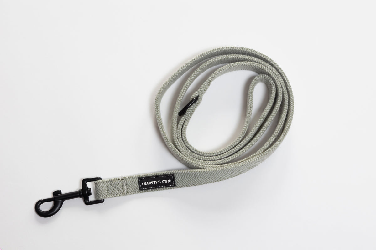 Alban Collection Light Green Lead