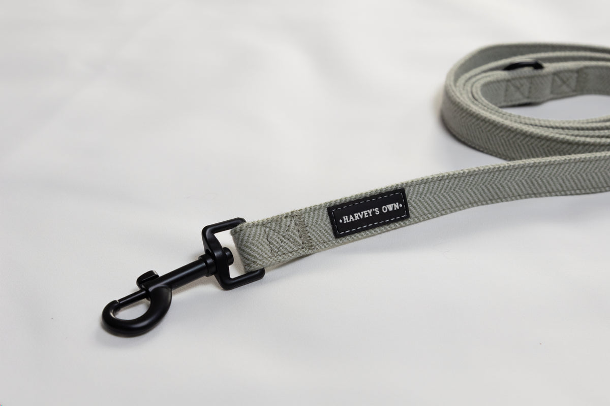 Alban Collection Light Green Lead