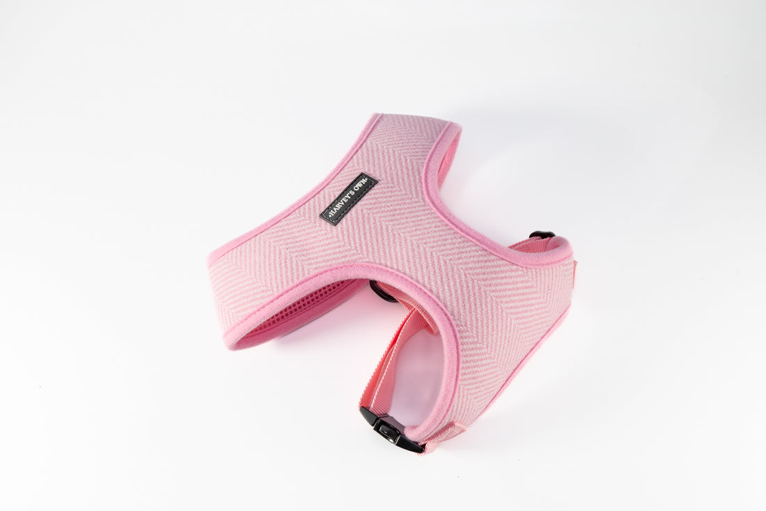 Holywell Collection  Pink Deaf Dog Harness