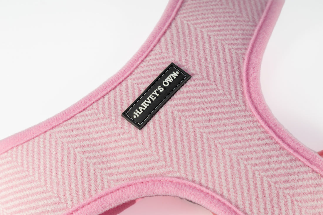 Holywell Collection  Pink Deaf Dog Harness