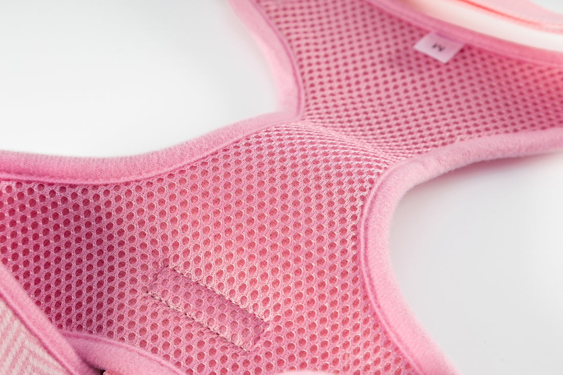 Holywell Collection  Pink Deaf Dog Harness