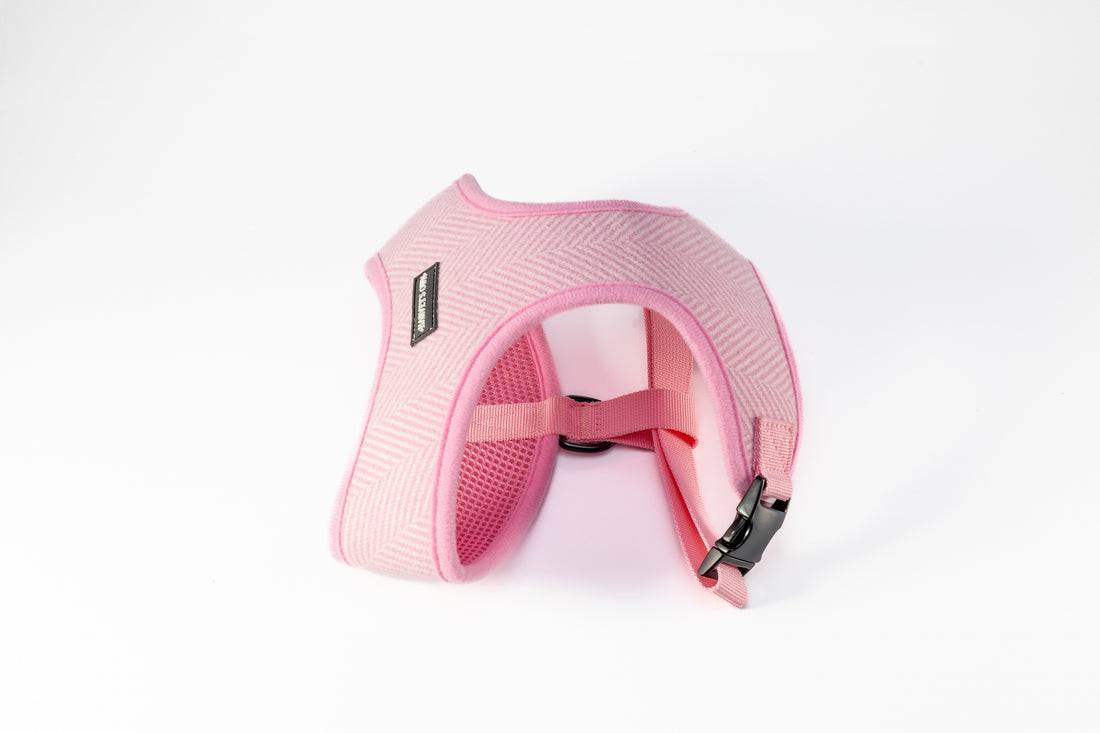 Holywell Collection Pink Blind Dog Harness