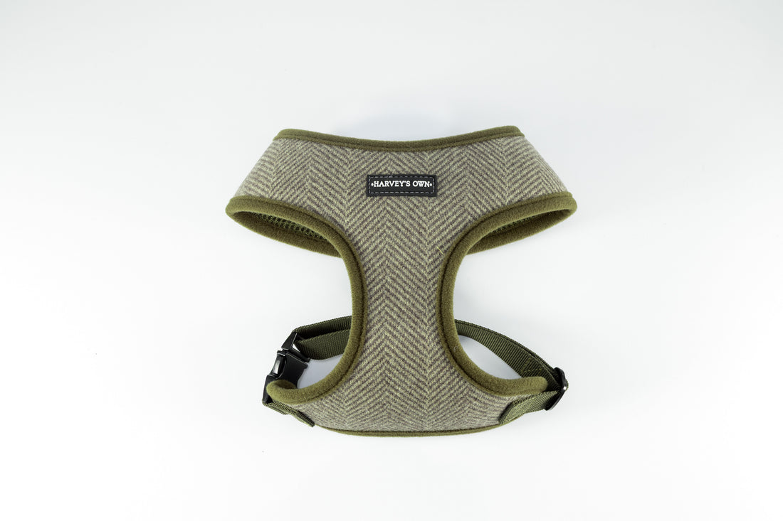 Holywell Collection Green Blind Dog Harness