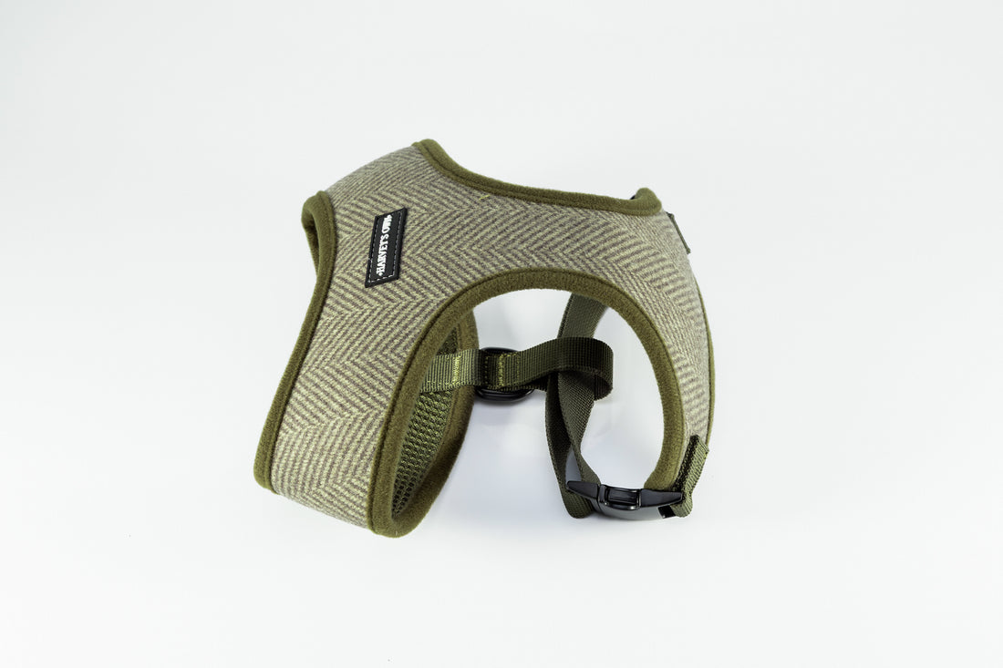 Holywell Collection Green Blind Dog Harness