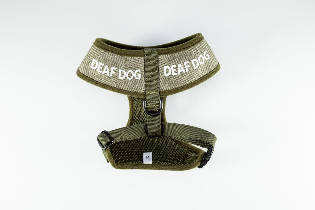 Holywell Collection Green Deaf Dog Harness