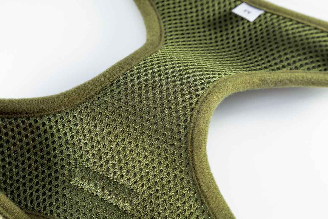 Holywell Collection Green Blind Dog Harness