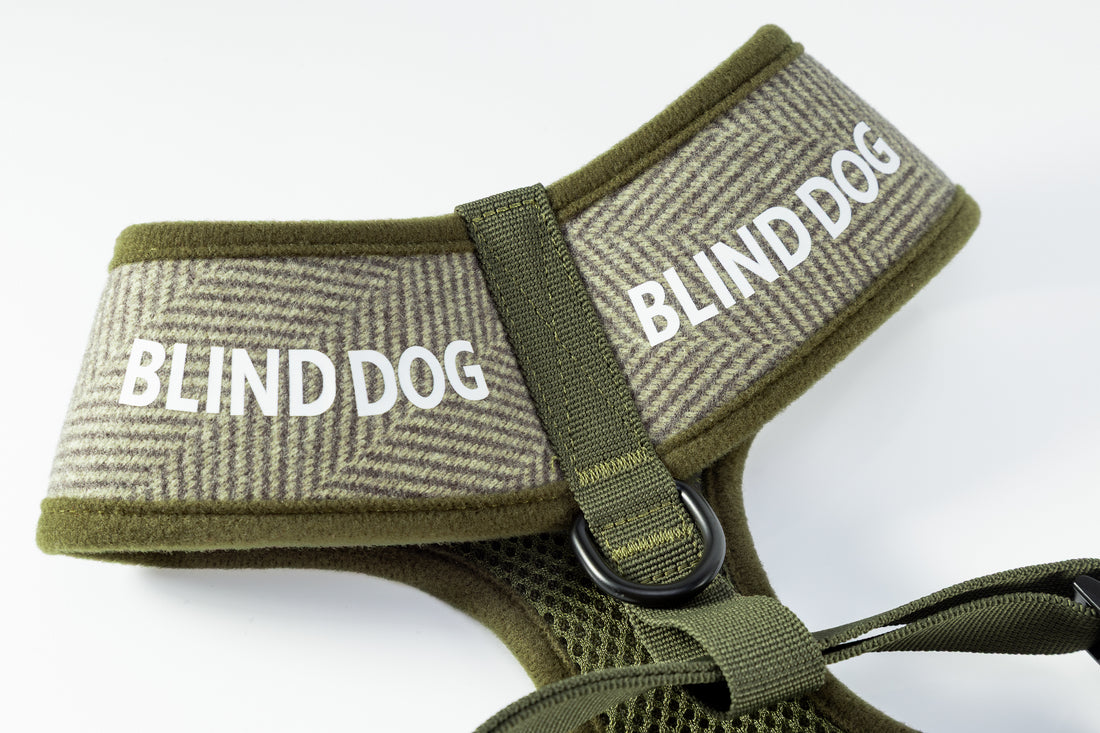Holywell Collection Green Blind Dog Harness