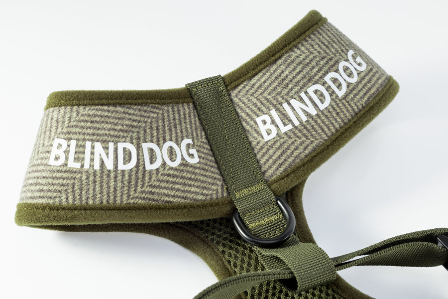 Holywell Collection Green Blind Dog Harness