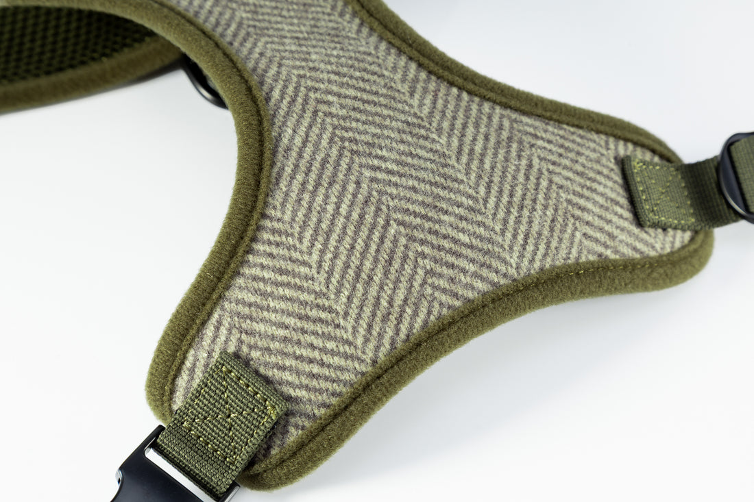 Holywell Collection Green Blind Dog Harness