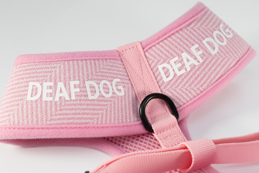 Holywell Collection  Pink Deaf Dog Harness
