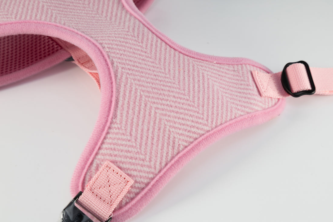 Holywell Collection Pink Blind Dog Harness