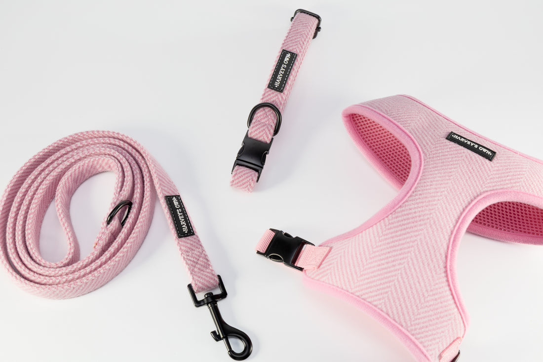 Holywell Collection Pink Blind Dog Bundle