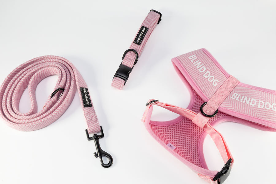 Holywell Collection Pink Blind Dog Bundle