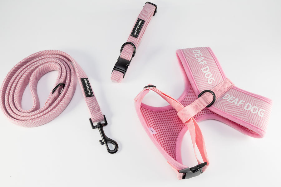 Holywell Collection  Pink Deaf Dog Bundle