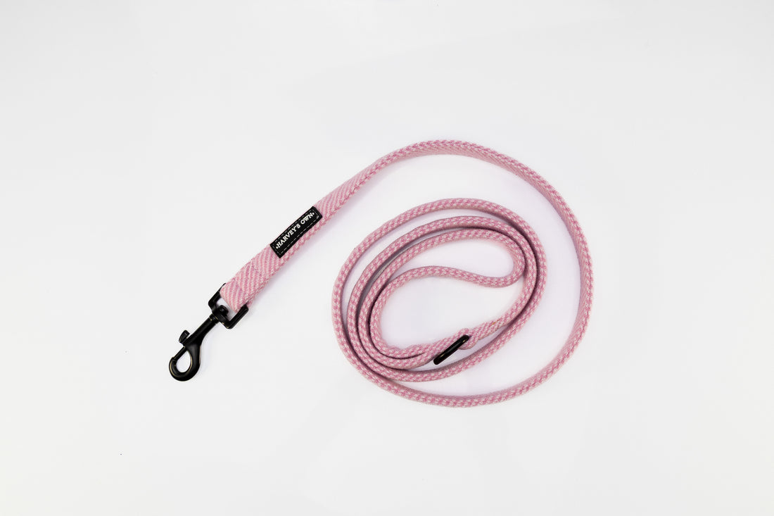 Holywell Collection Pink Dog Lead
