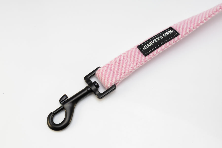 Holywell Collection Pink Dog Lead