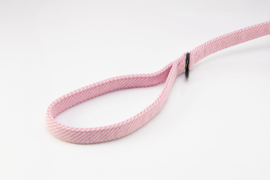 Holywell Collection Pink Dog Lead