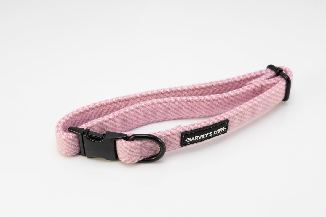 Holywell Collection Pink Dog Collar