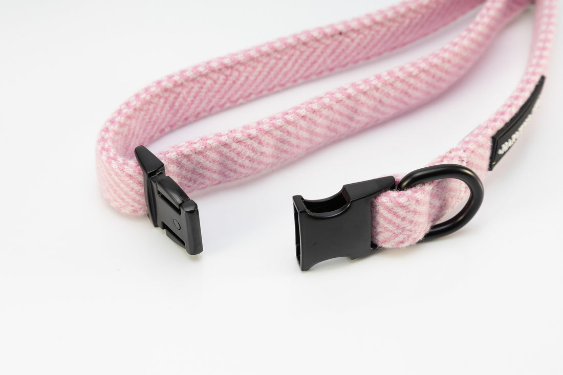 Holywell Collection Pink Dog Collar