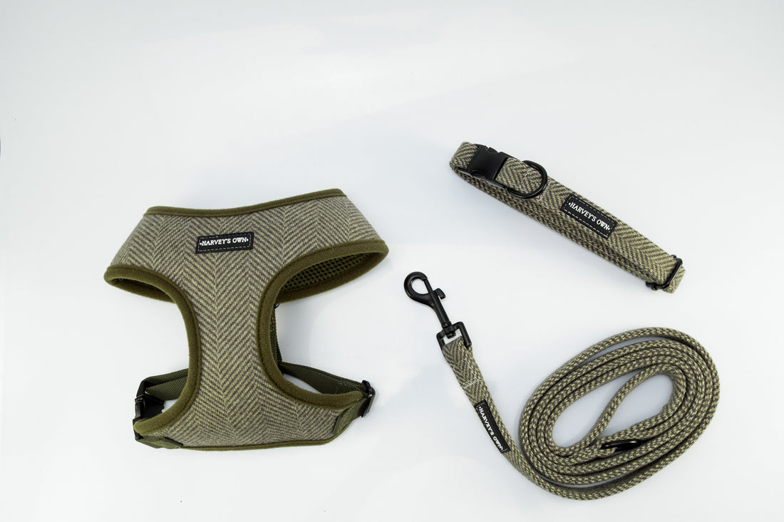 Holywell Collection Green Blind Dog Bundle