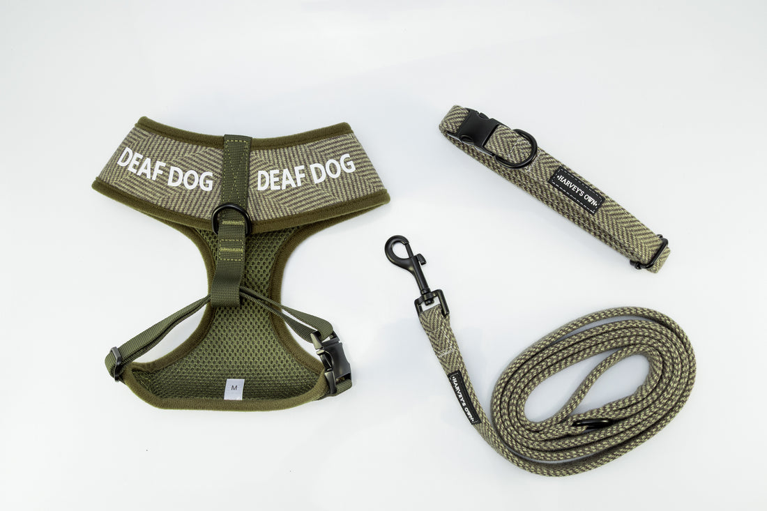 Holywell Collection Green Deaf Dog Bundle