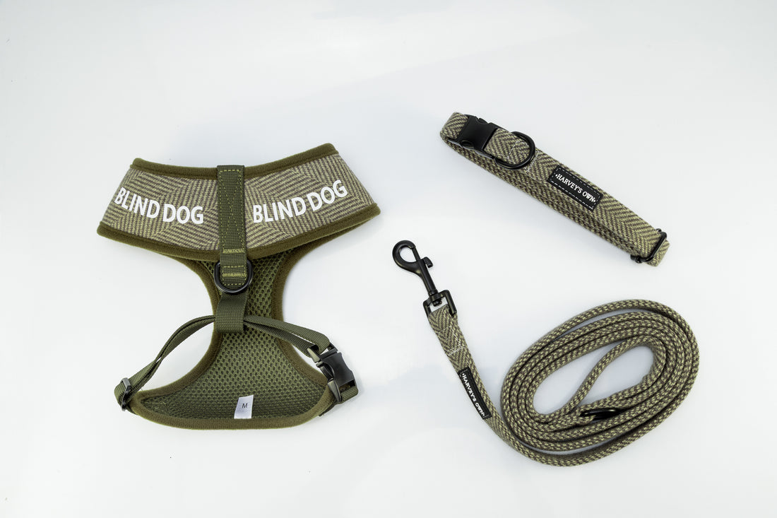 Holywell Collection Green Blind Dog Bundle