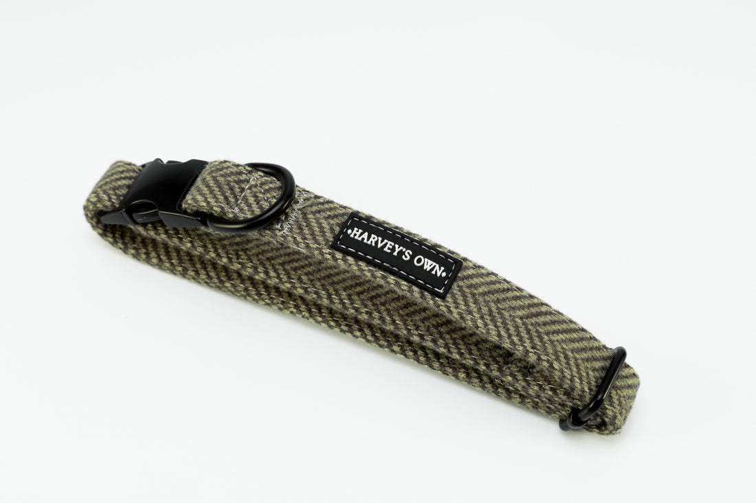 Holywell Collection Green Dog Collar