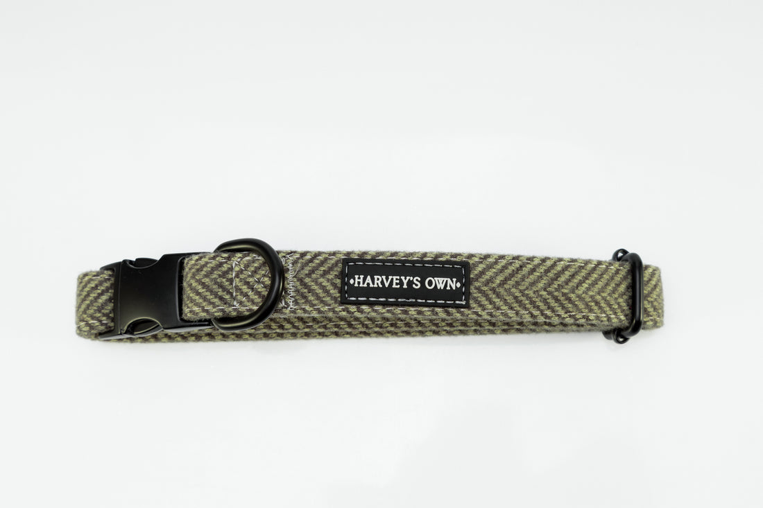 Holywell Collection Green Dog Collar
