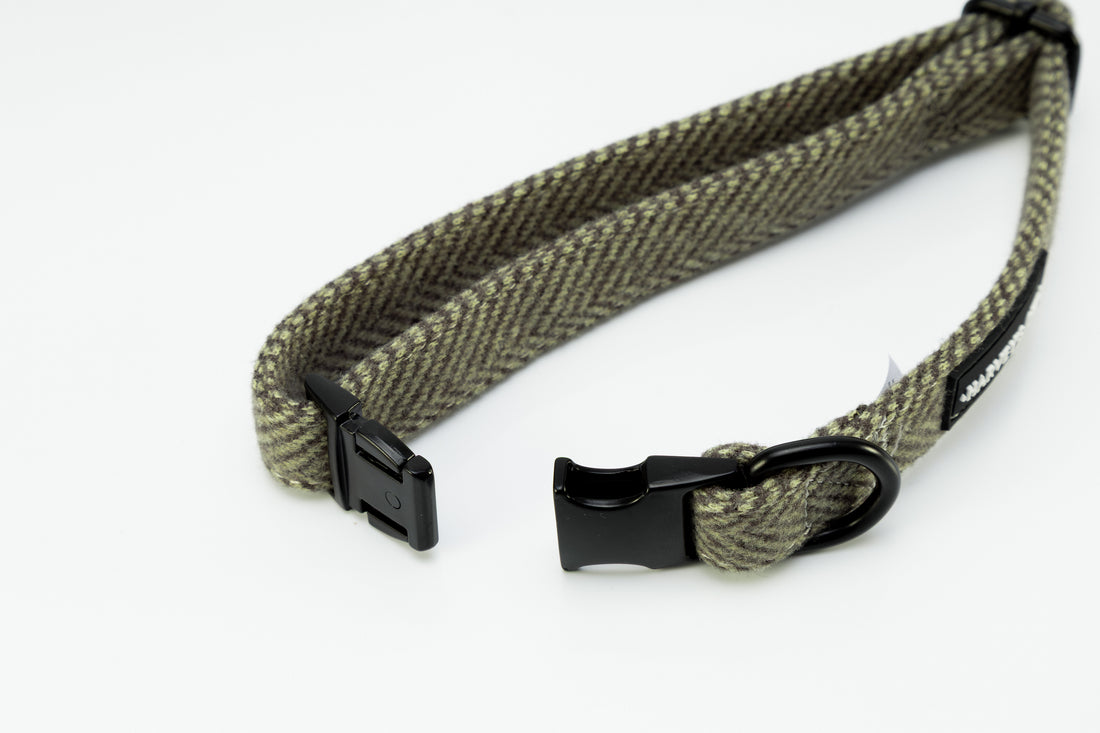 Holywell Collection Green Dog Collar