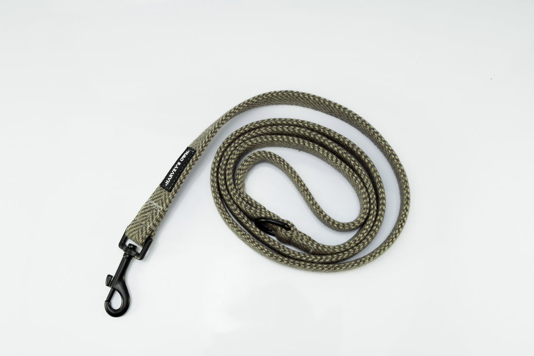 Holywell Collection Green Dog Lead