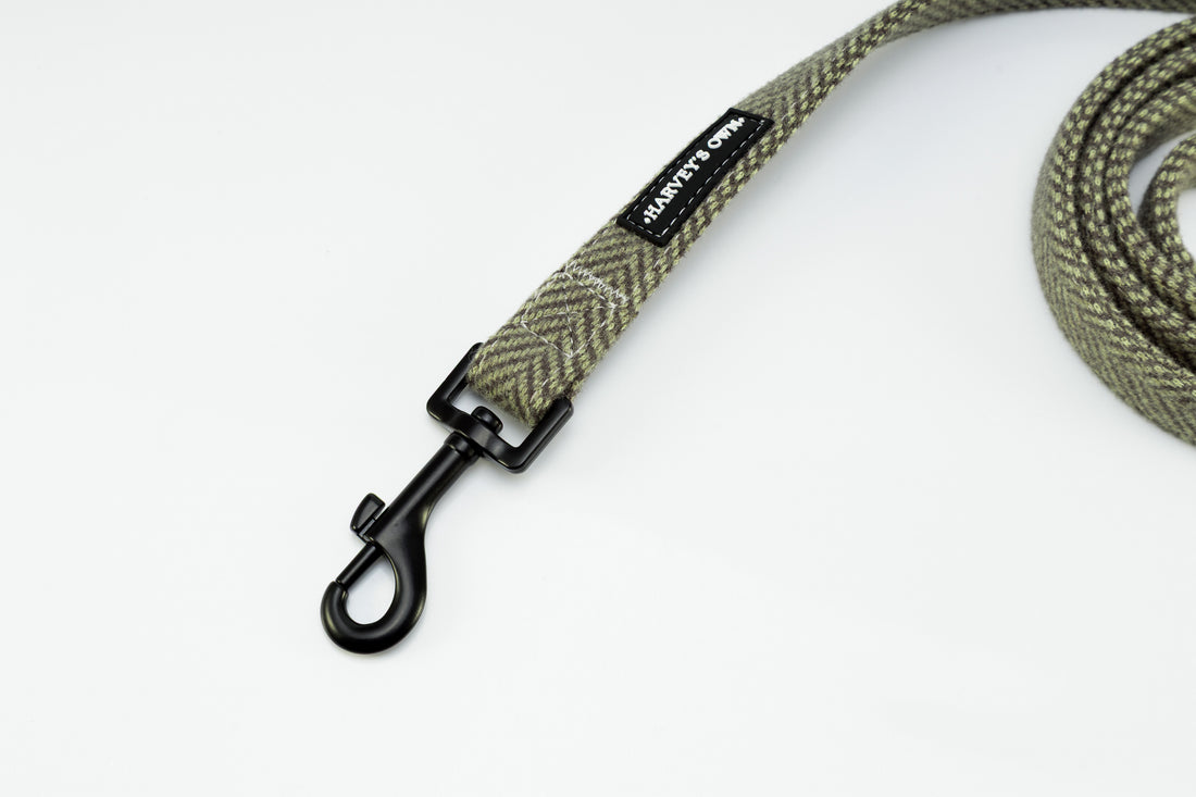 Holywell Collection Green Dog Lead