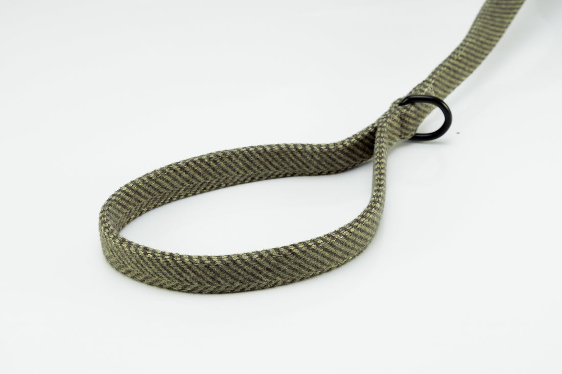 Holywell Collection Green Dog Lead