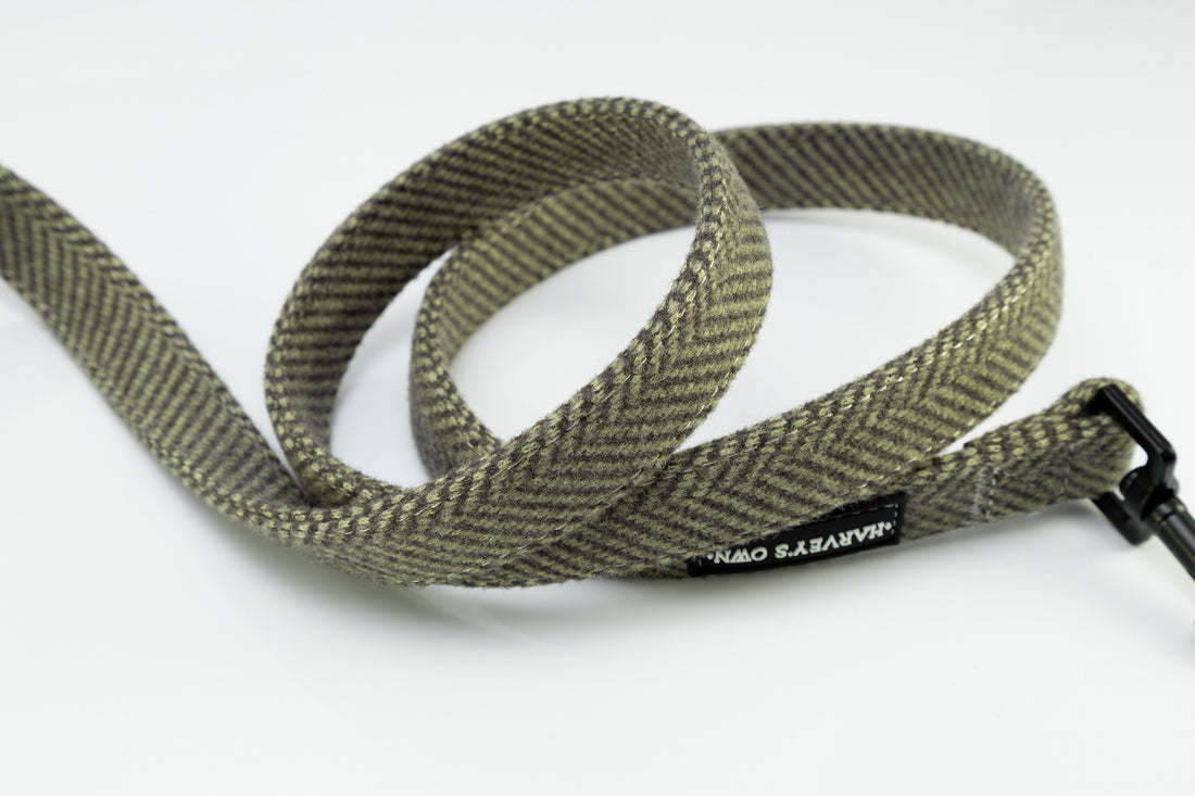 Holywell Collection Green Dog Lead