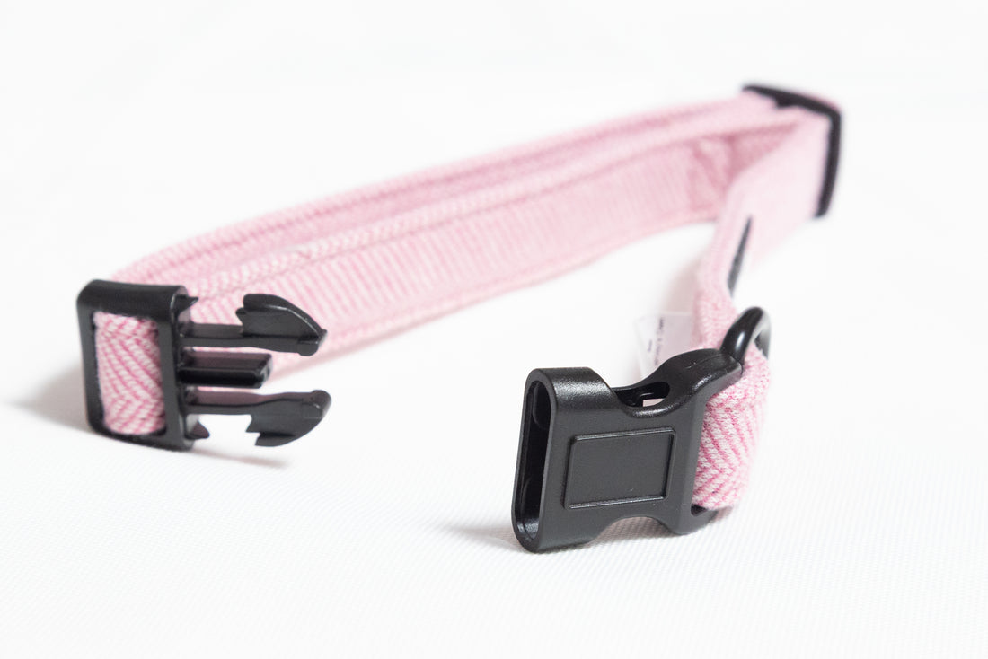 Alban Collection Pink Collar
