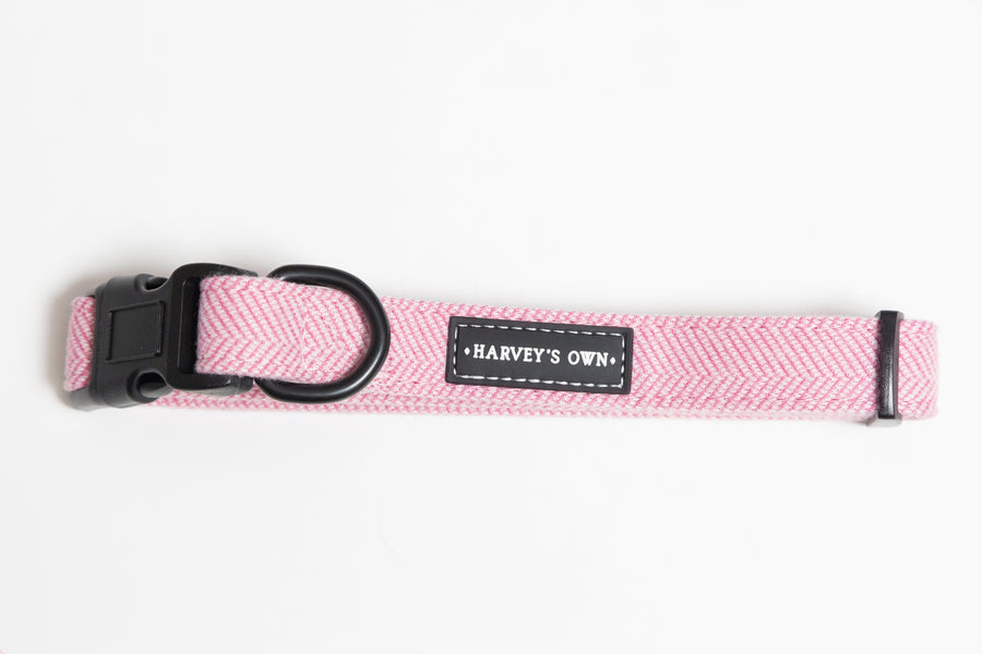 Alban Collection Pink Collar