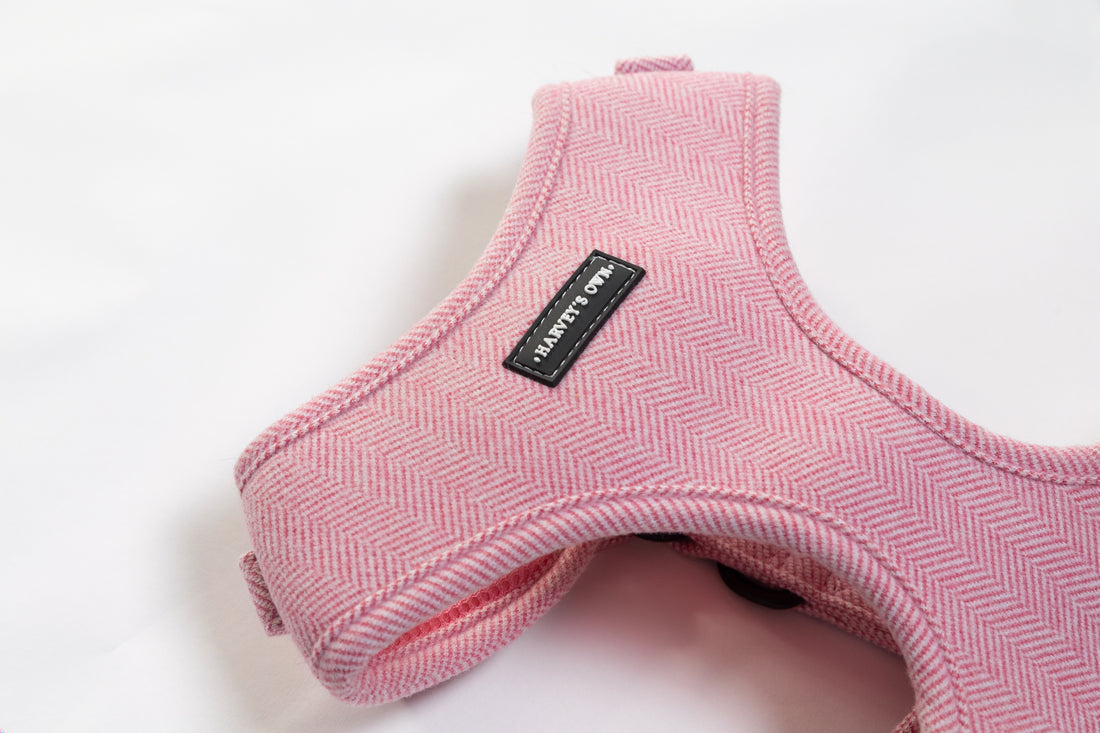 Alban Collection Pink Harness