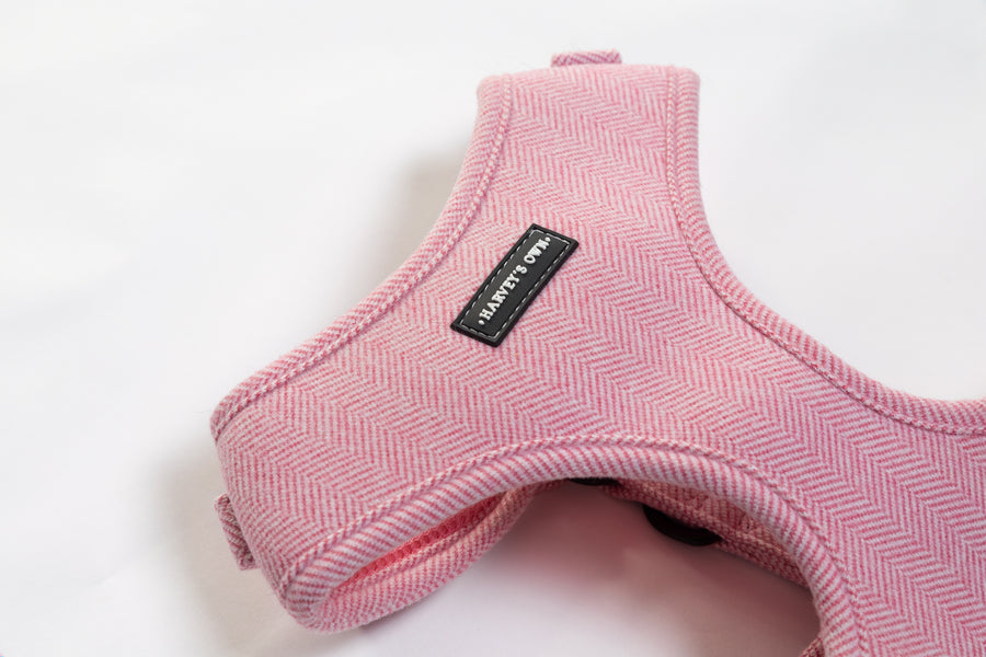 Alban Collection Pink Harness