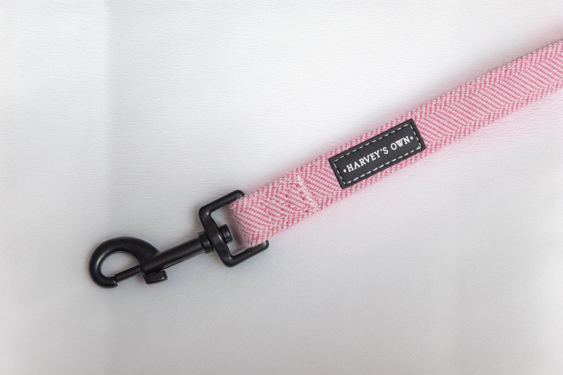 Alban Collection Pink Lead