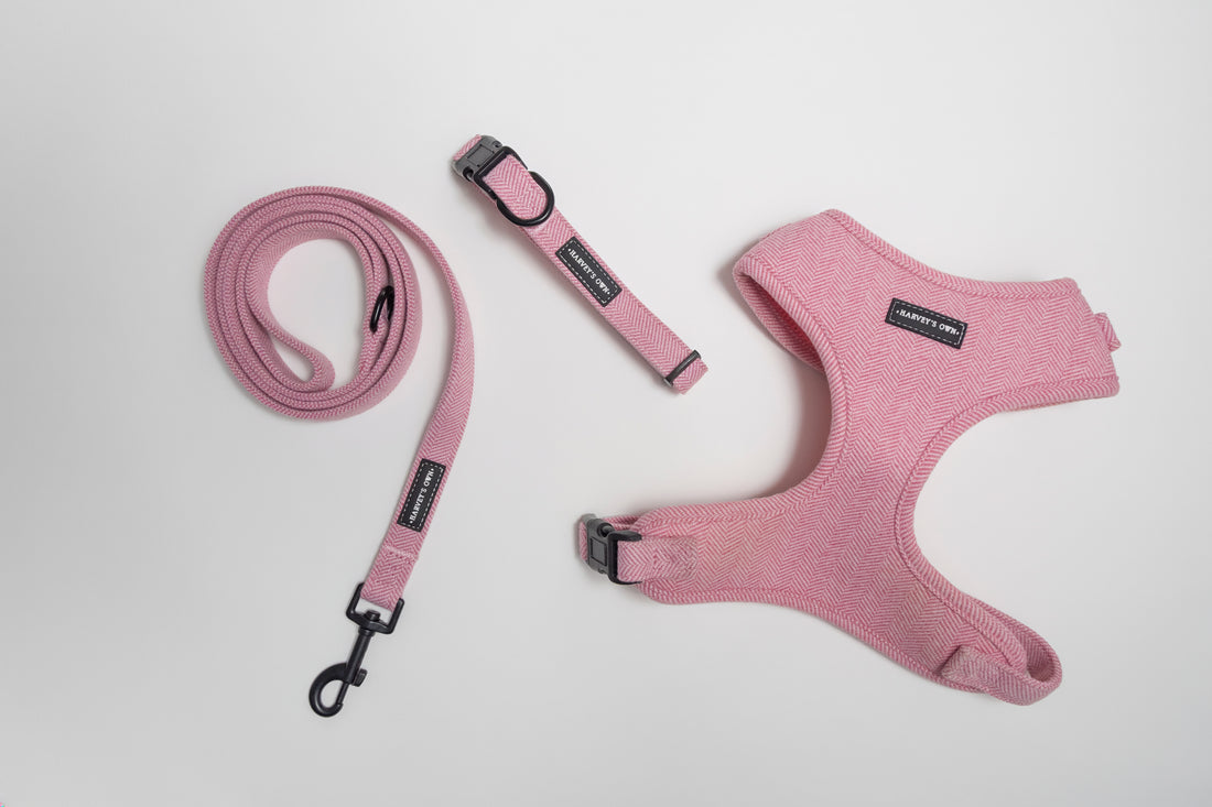 Alban Collection Pink Bundle