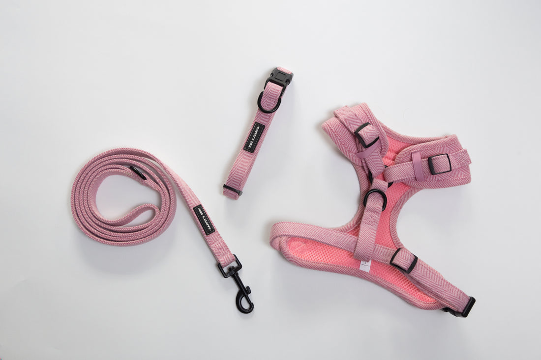 Alban Collection Pink Bundle